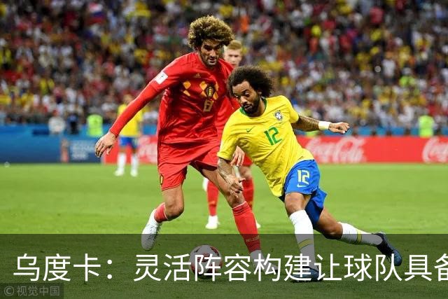 乌度卡：灵活阵容构建让球队具备多样化选择